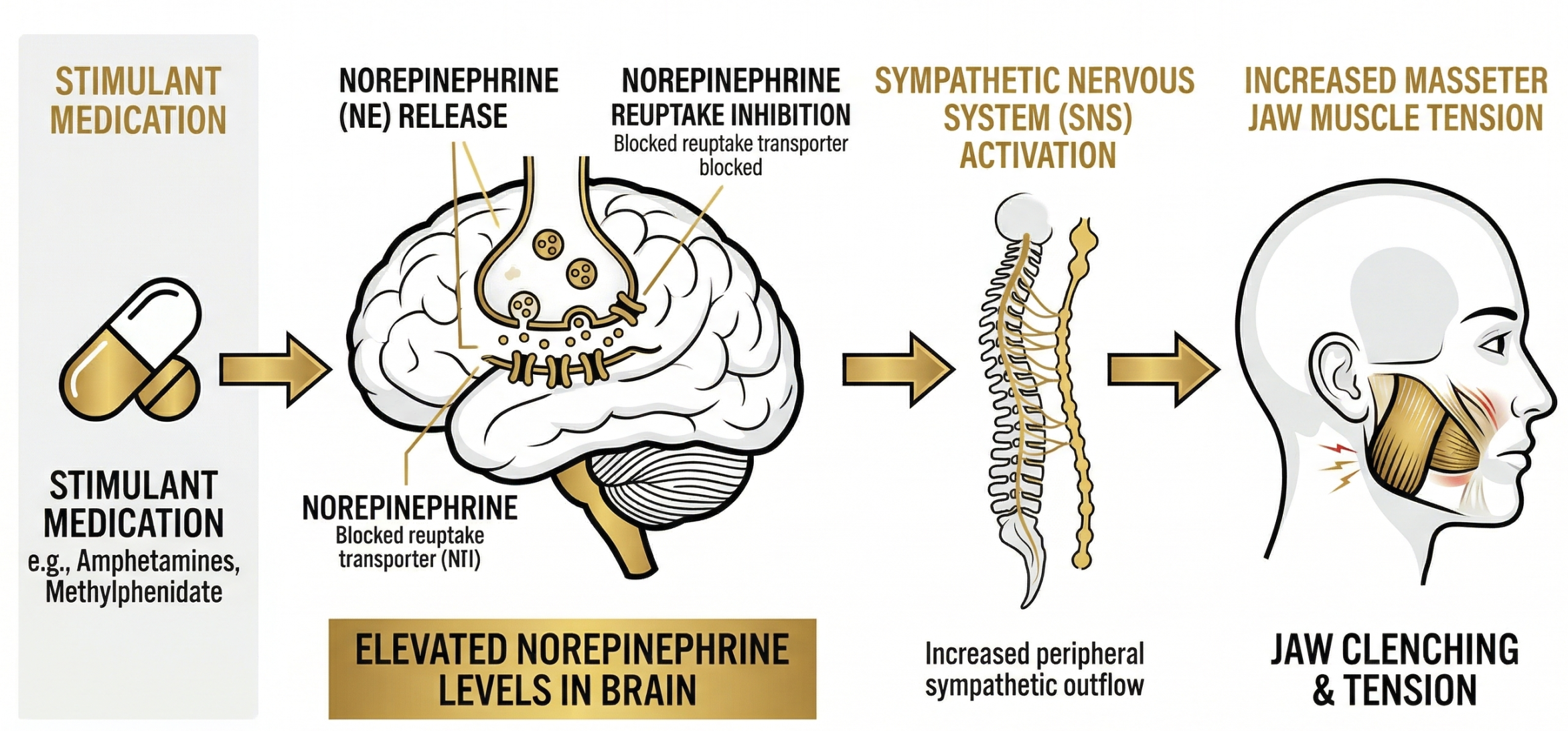 stimulant medication mechanism causing jaw clenching via norepinephrine pathway