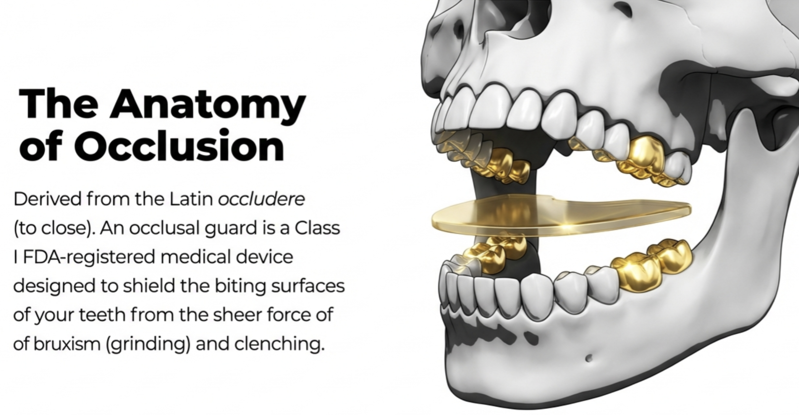 occlusal surfaces of teeth diagram showing what occlusal guard protects