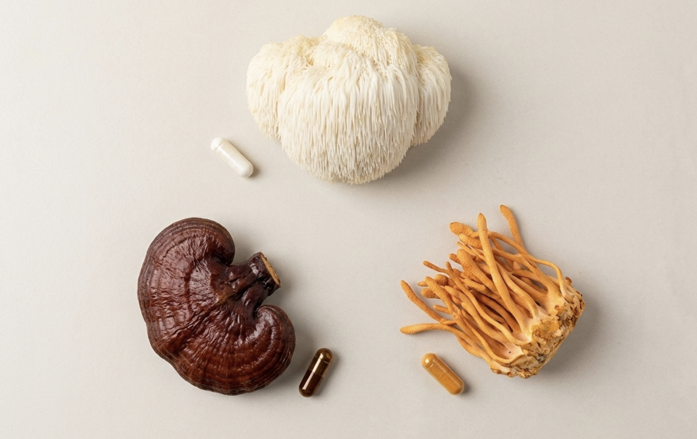 Mushroom Supplements for Jaw Clenching: What Lion’s Mane, Reishi, and Cordyceps Actually Do